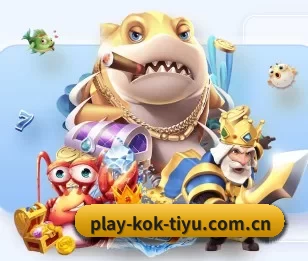 KOK体育的故事 - 体育资讯内容服务